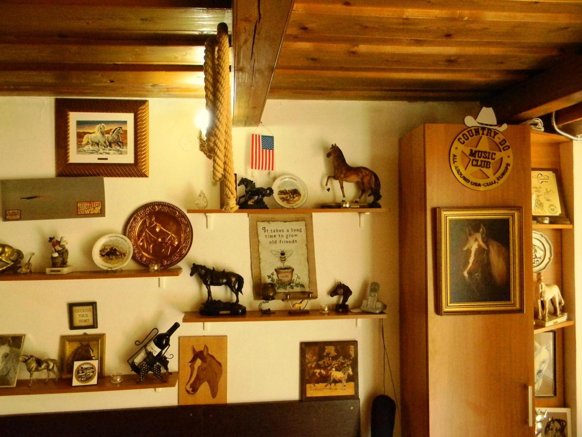 Transylvania Cowboy Cottage คลูจ-นาโปกา ภายนอก รูปภาพ
